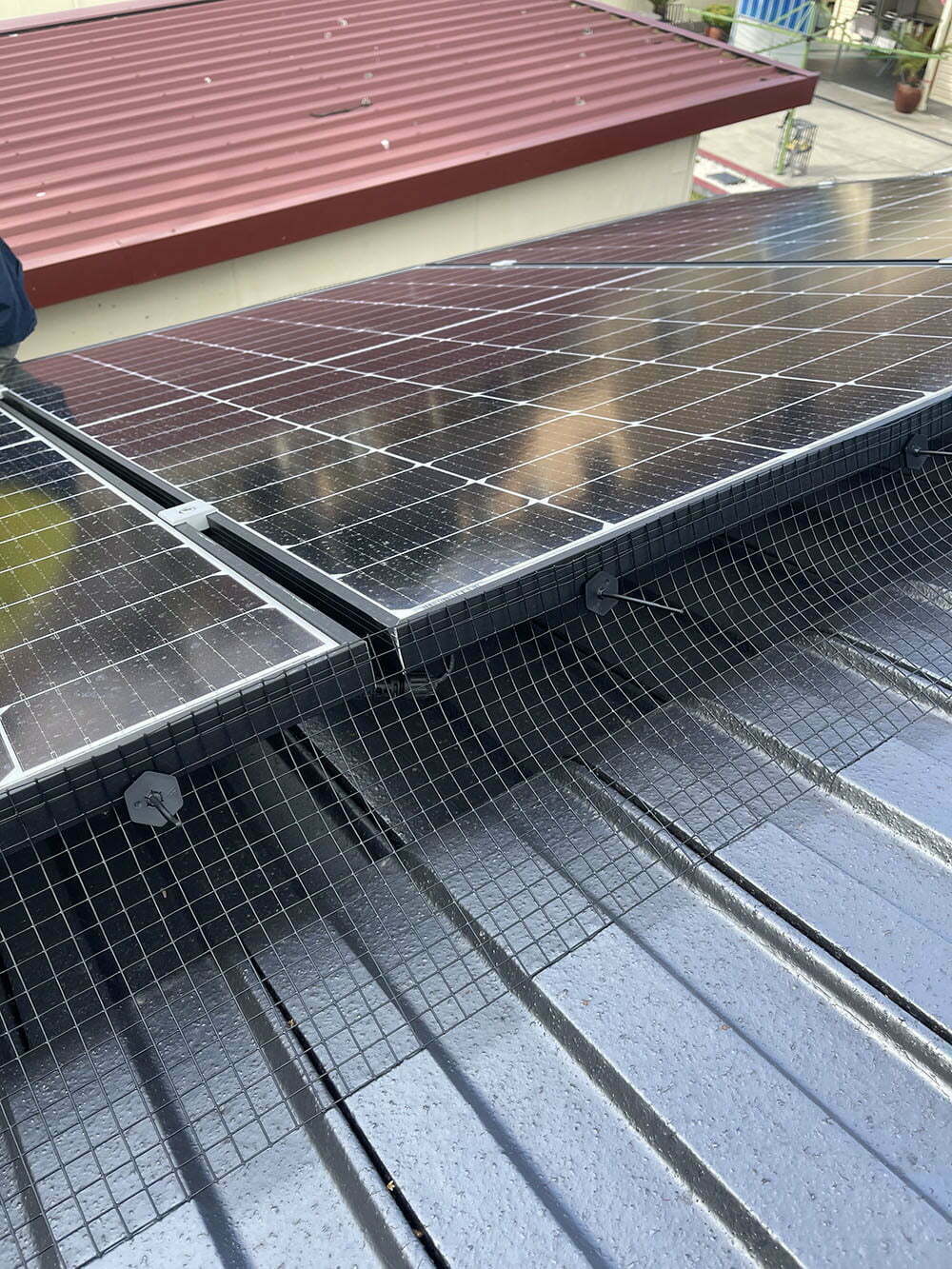 solar panel protector birds